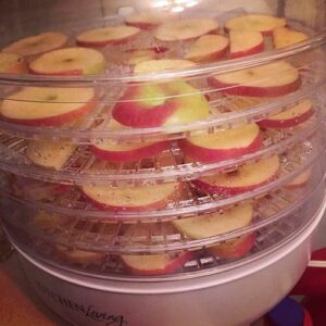 Desidratador de Alimentos Elétrico com 5 Bandejas